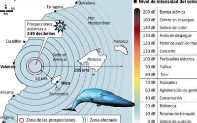 NO a la la búsqueda de petróleo en el Golfo de Valencia