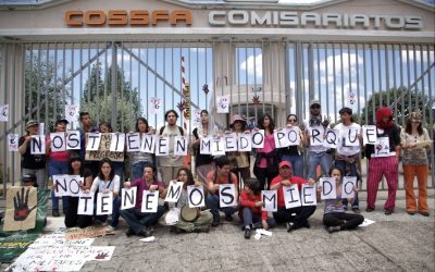 A quienes nos dieron su firma, a quienes sueñan con la consulta popular, a quienes quieren mantener la vida en el Yasuní