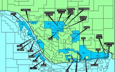 BID ROUNDS FOR NIGERIA MARGINAL FIELDS: CAVEAT EMPTOR!