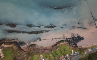 Don’t Reopen The Wells — Decommission, Clean Up And Restore Ogoniland